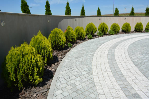 Best Best Driveway Pavers  in Wenona, IL